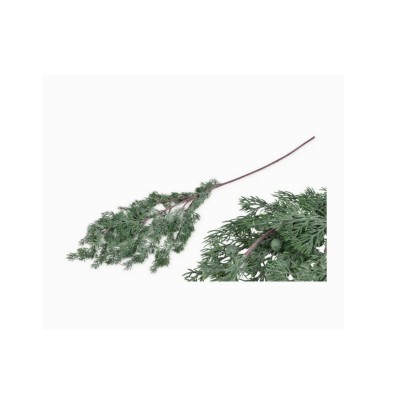 Gałązka brązowa z szarozielonymi igiełkami