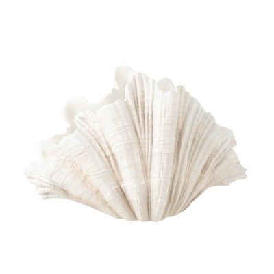 Wazon dekoracyjny z muszli, żywica 