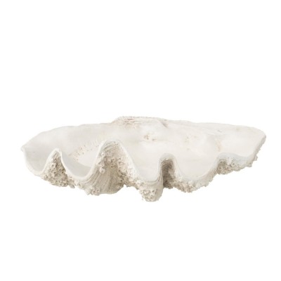 Miska  muszla morska 60009