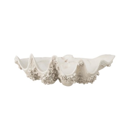 Miska muszla morska 60008