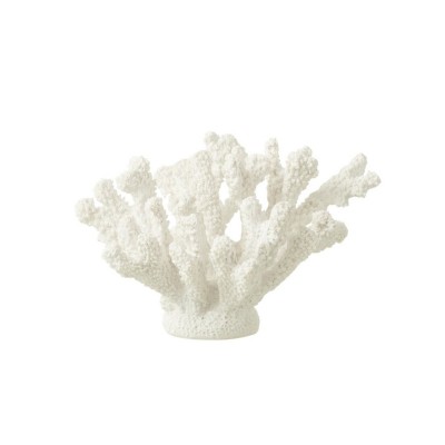 Koralowiec biały średni 40487